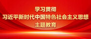 黑龙江省养老保险基数学习贯彻习近平新时代中国特色社会主义思想主题教育_fororder_ad-371X160(2)